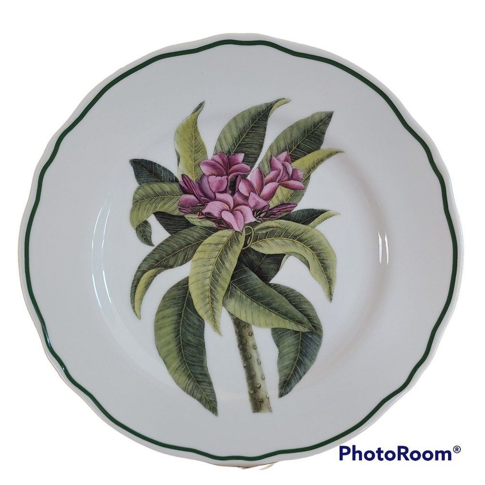 Rare Andrea by Sadek Plumeria Dinner Plate Williamsburg Catesby Collection VTG